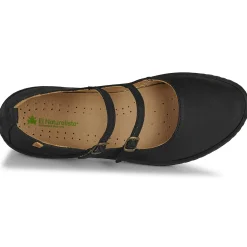 El Naturalista - CORAL N5348