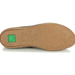 El Naturalista - CORAL N5301