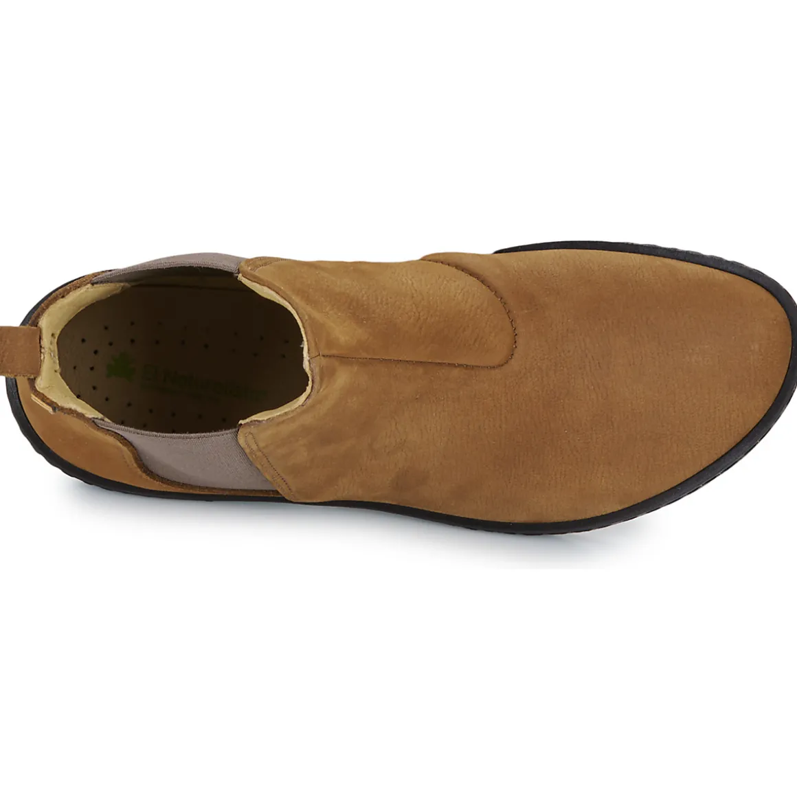 El Naturalista - CORAL N5310