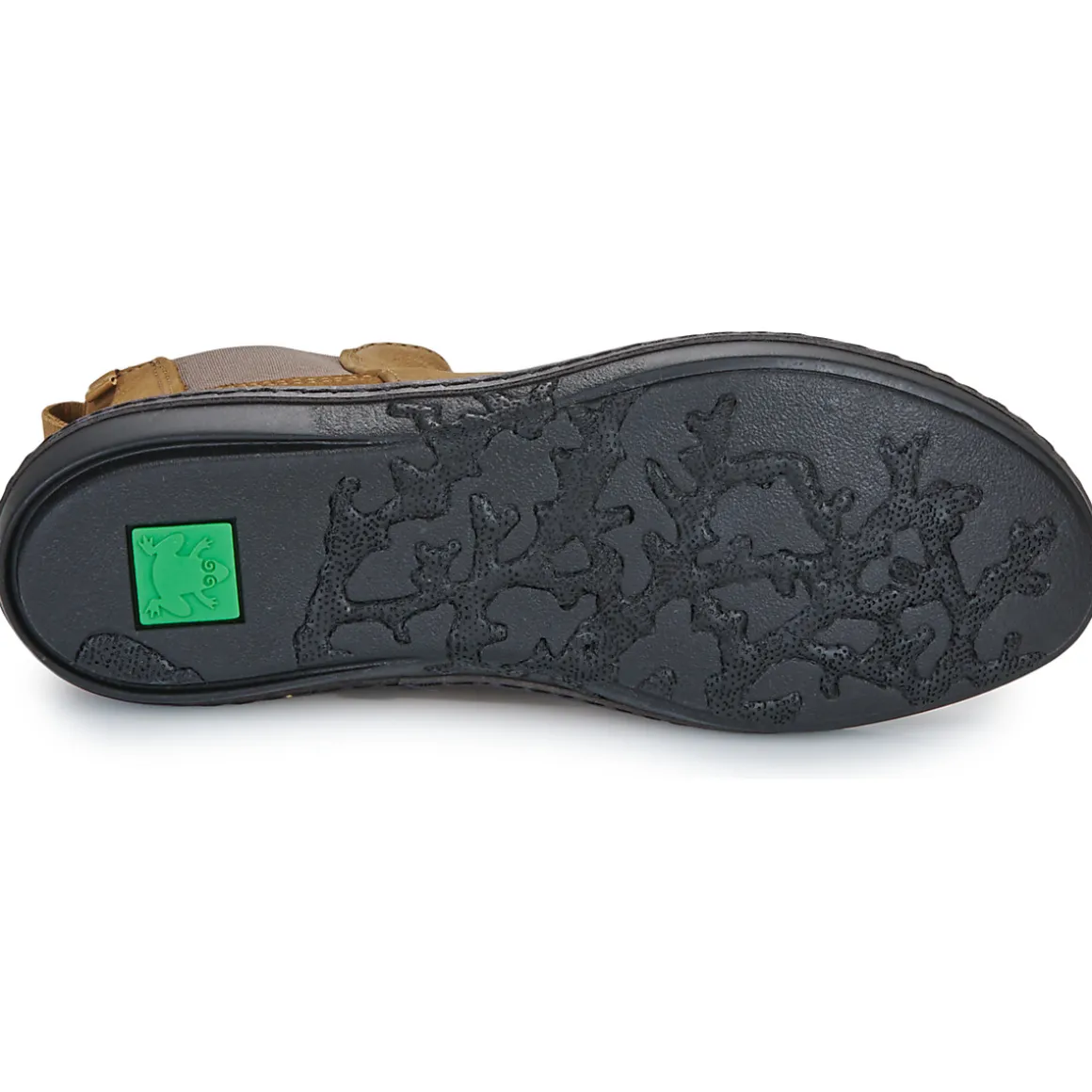 El Naturalista - CORAL N5310