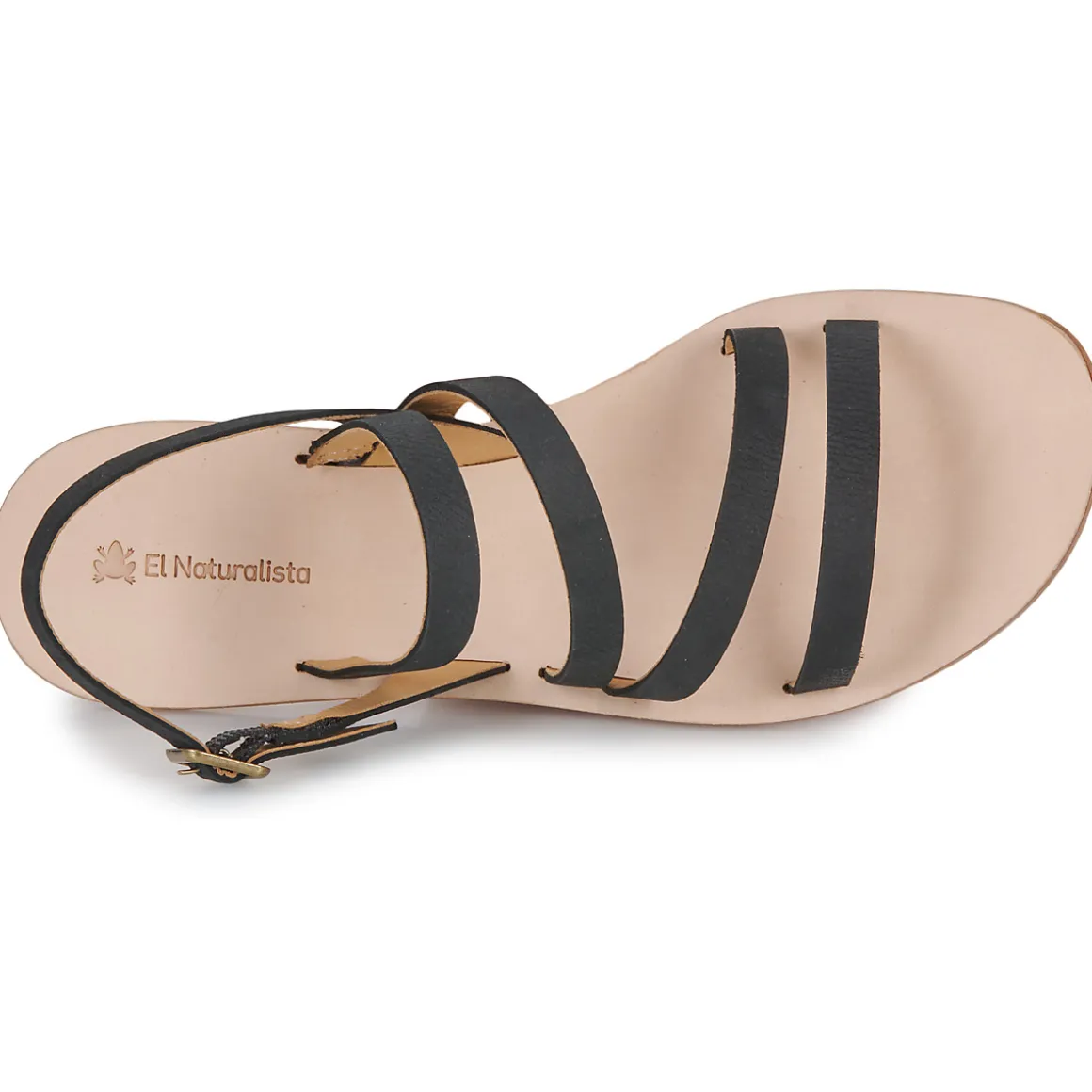 El Naturalista - CORATINA N5711