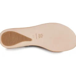 El Naturalista - CORATINA N5711