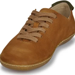 El Naturalista - EL VIAJERO FLIDSU