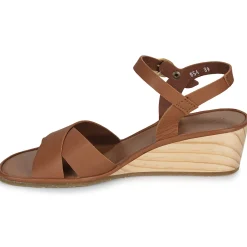 El Naturalista - GAIA N854