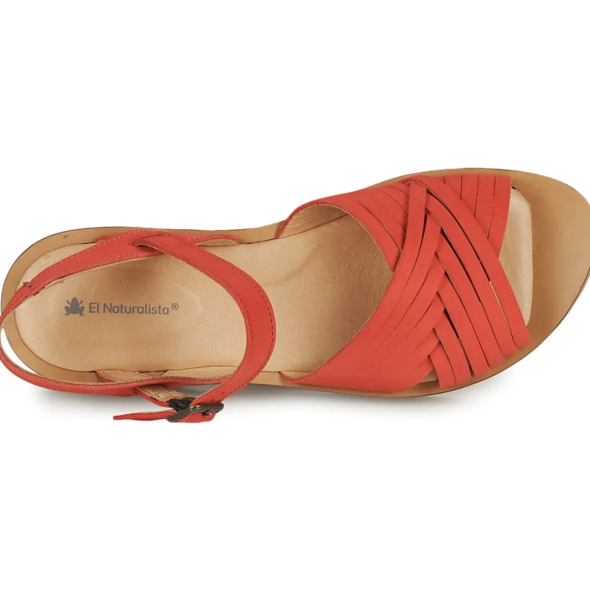 El Naturalista - N5590-CORAL