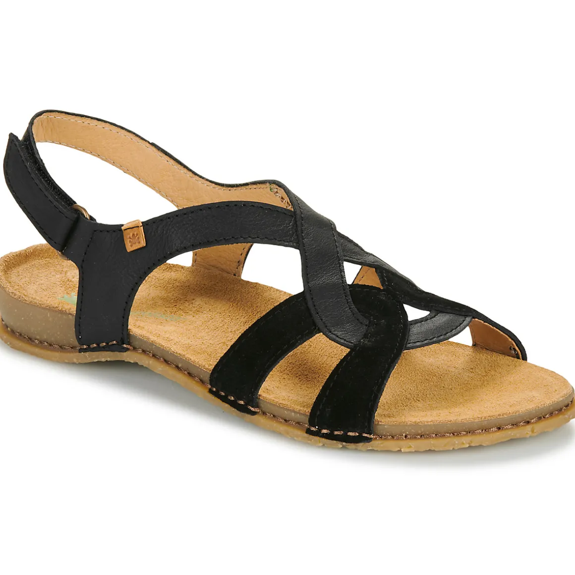 El Naturalista - PANGLAO N5819