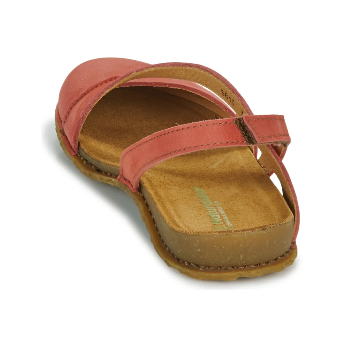 El Naturalista - PANGLAO N5813