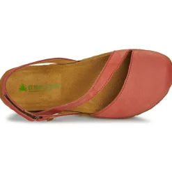 El Naturalista - PANGLAO N5813