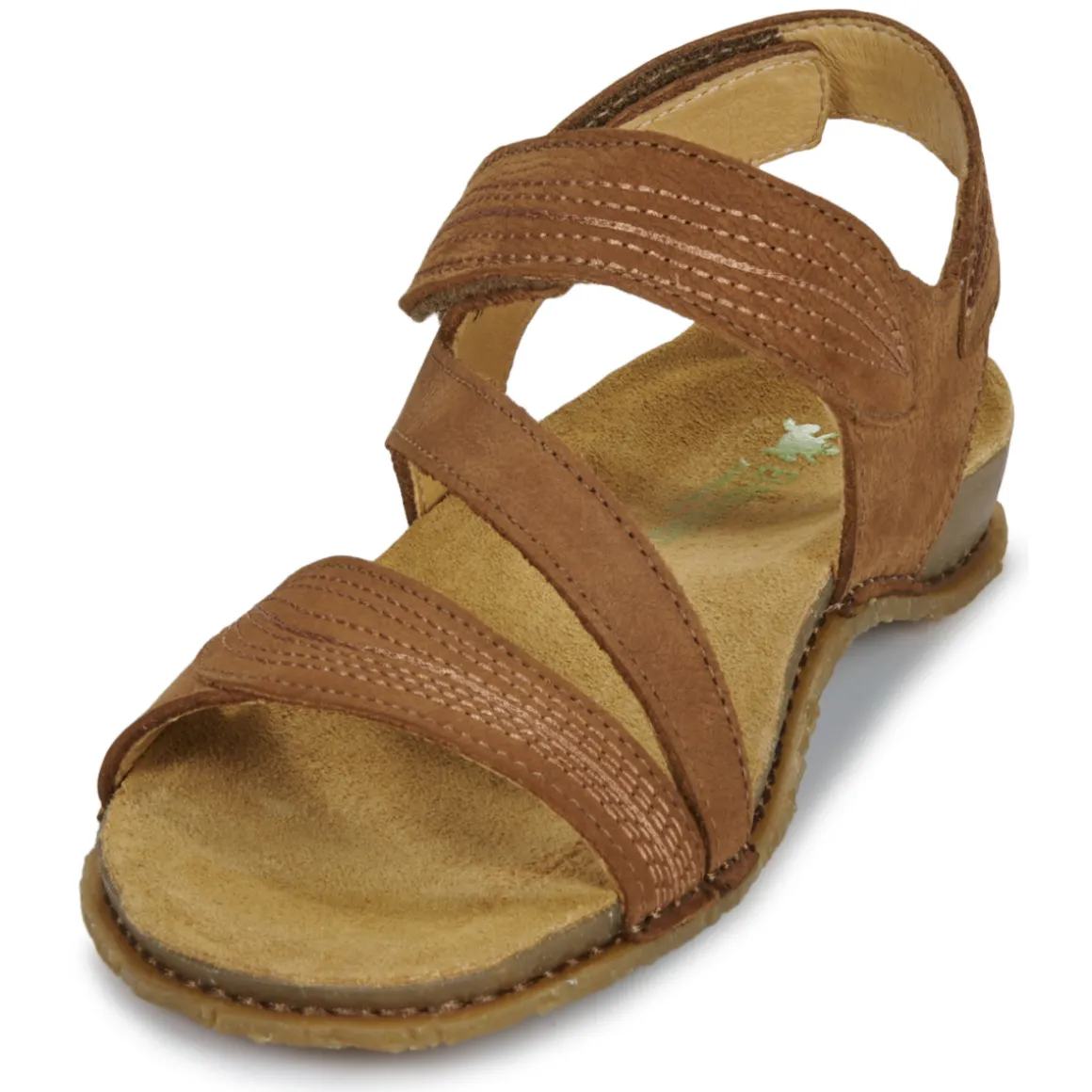 El Naturalista - PANGLAO N5810