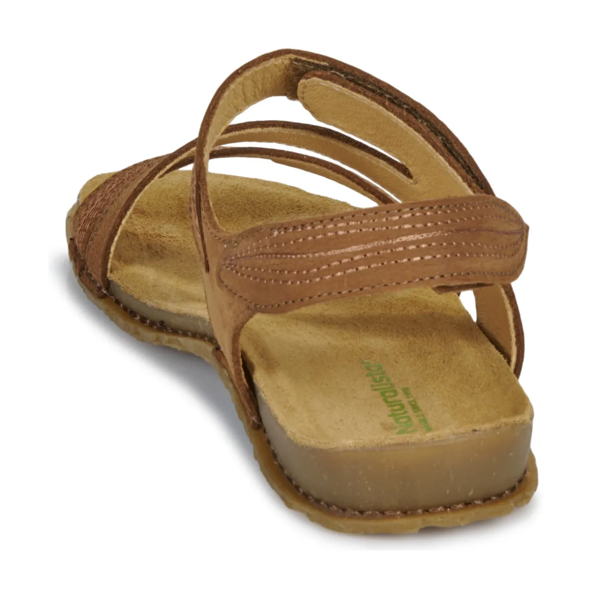 El Naturalista - PANGLAO N5810