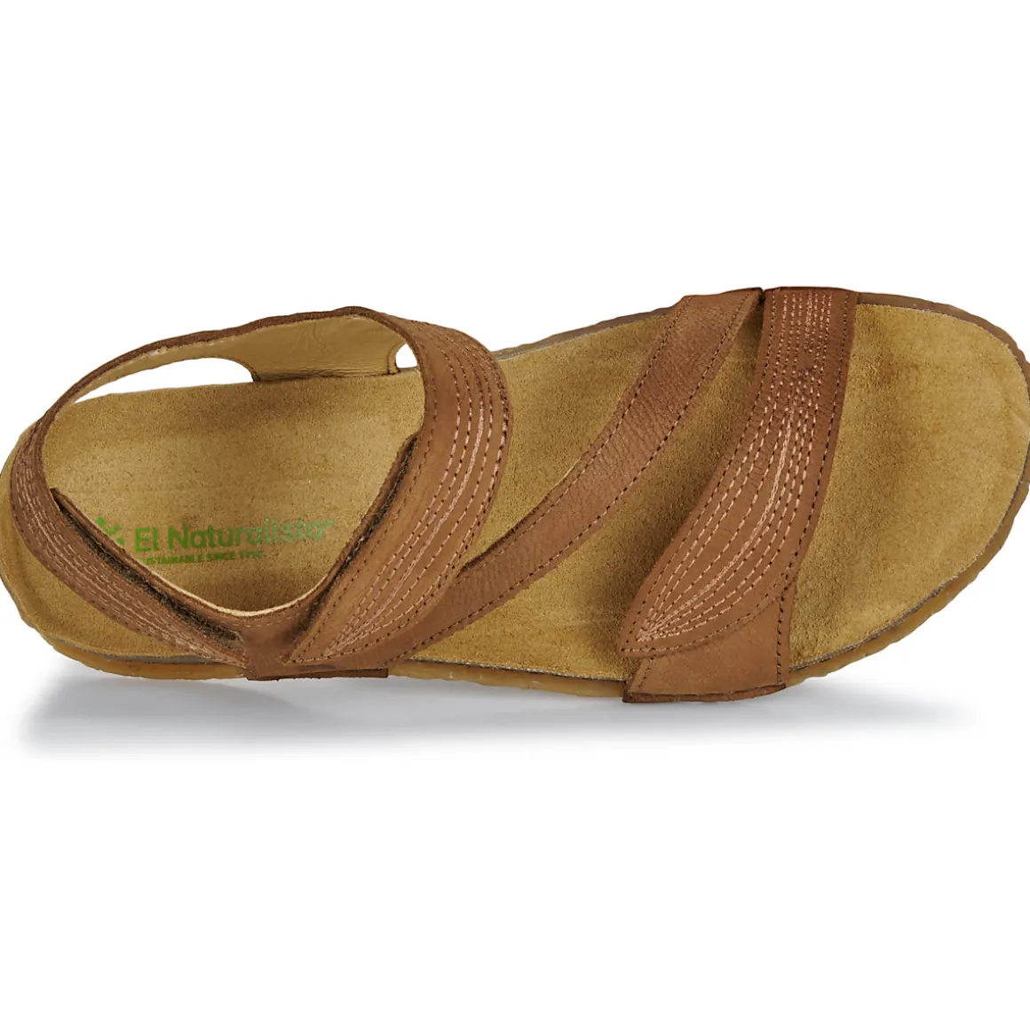 El Naturalista - PANGLAO N5810