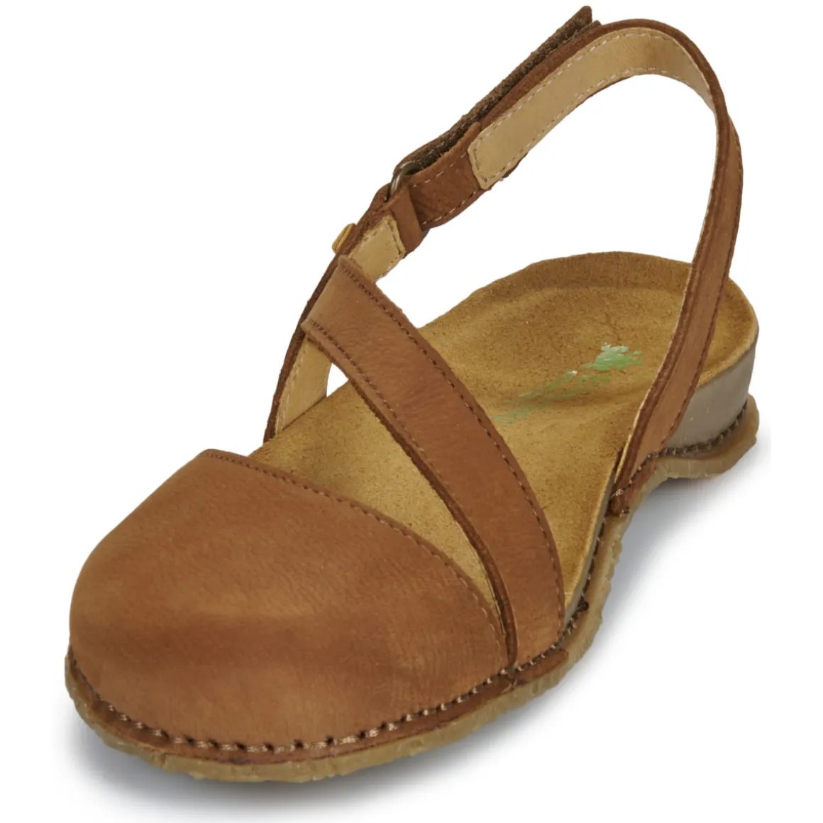 El Naturalista - PANGLAO N5813