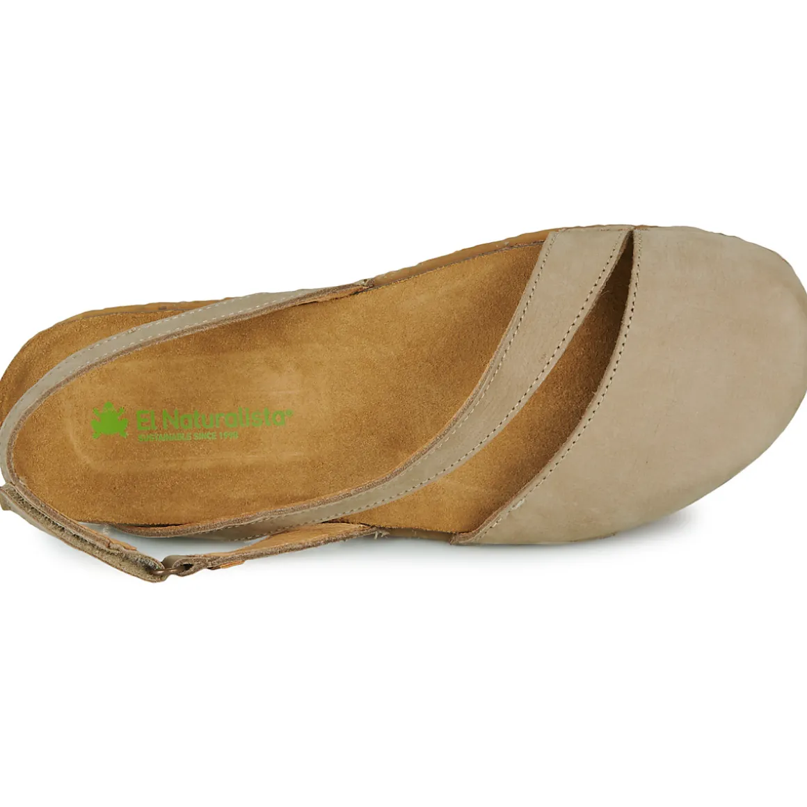 El Naturalista - PANGLAO N5813