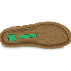 El Naturalista - PANGLAO N5813