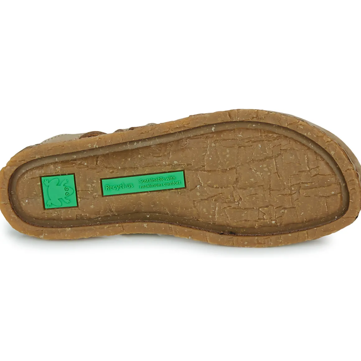 El Naturalista - PANGLAO N5813