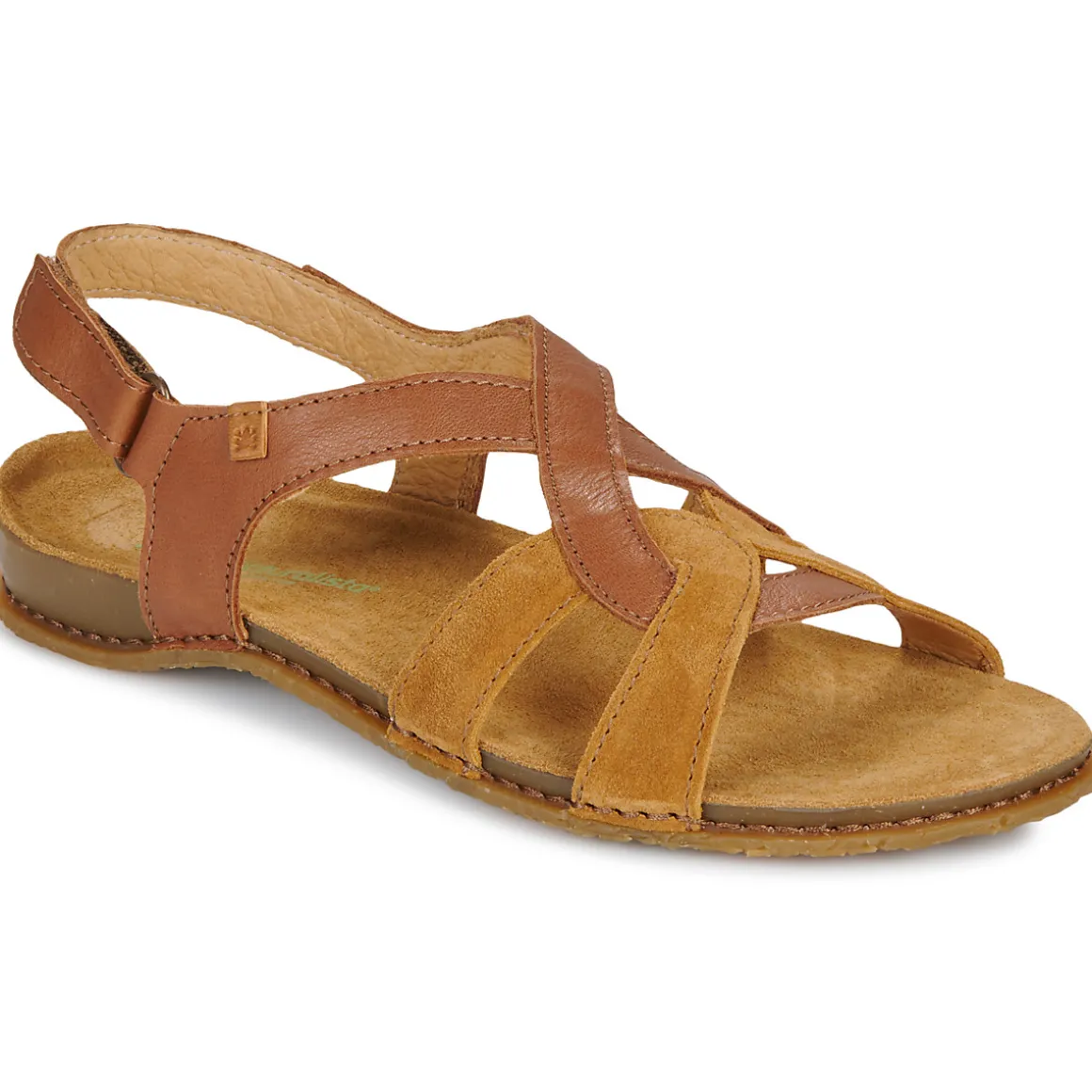 El Naturalista - PANGLAO N5819