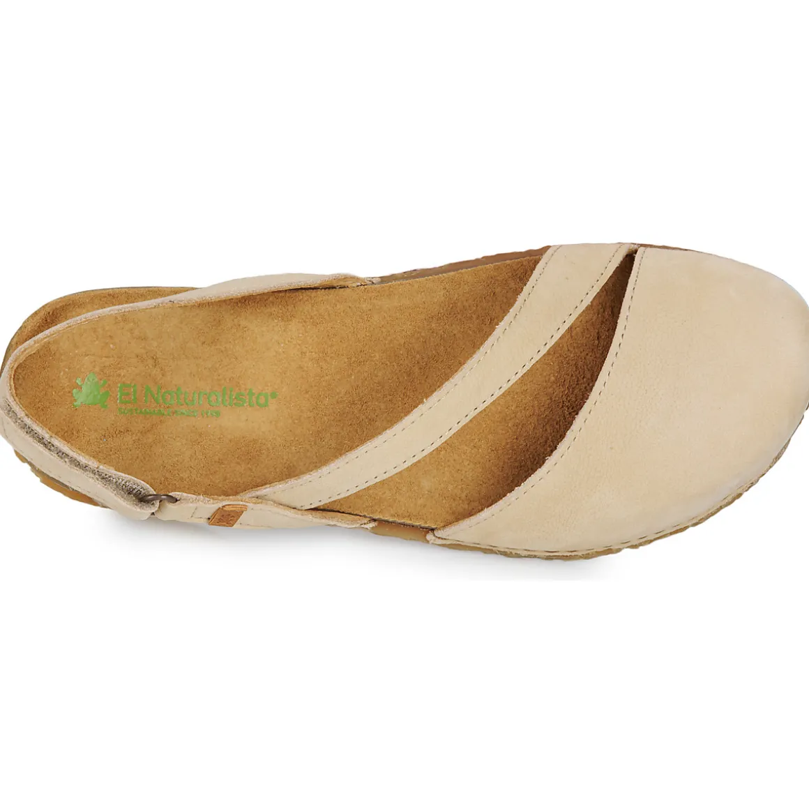 El Naturalista - PANGLAO N5813