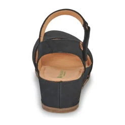 El Naturalista - PICUAL N5850