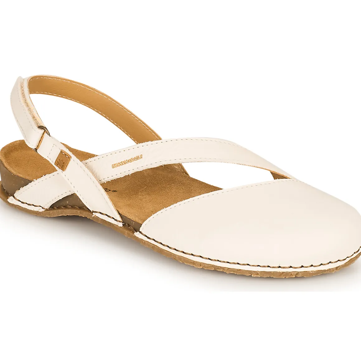 El Naturalista - PLANGLAO