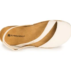 El Naturalista - PLANGLAO