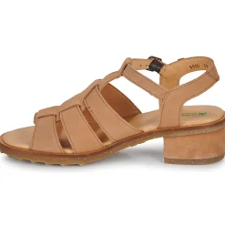 El Naturalista - SABAL N5800