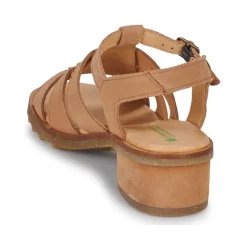 El Naturalista - SABAL N5800