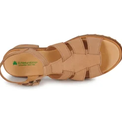 El Naturalista - SABAL N5800