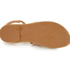 El Naturalista - TÜLBEND