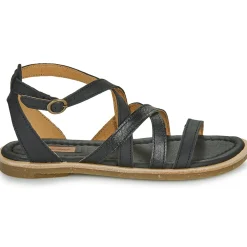 El Naturalista - TONAMI