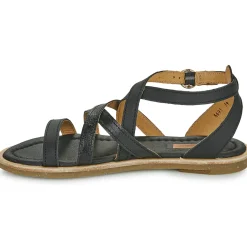 El Naturalista - TONAMI