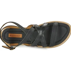 El Naturalista - TONAMI