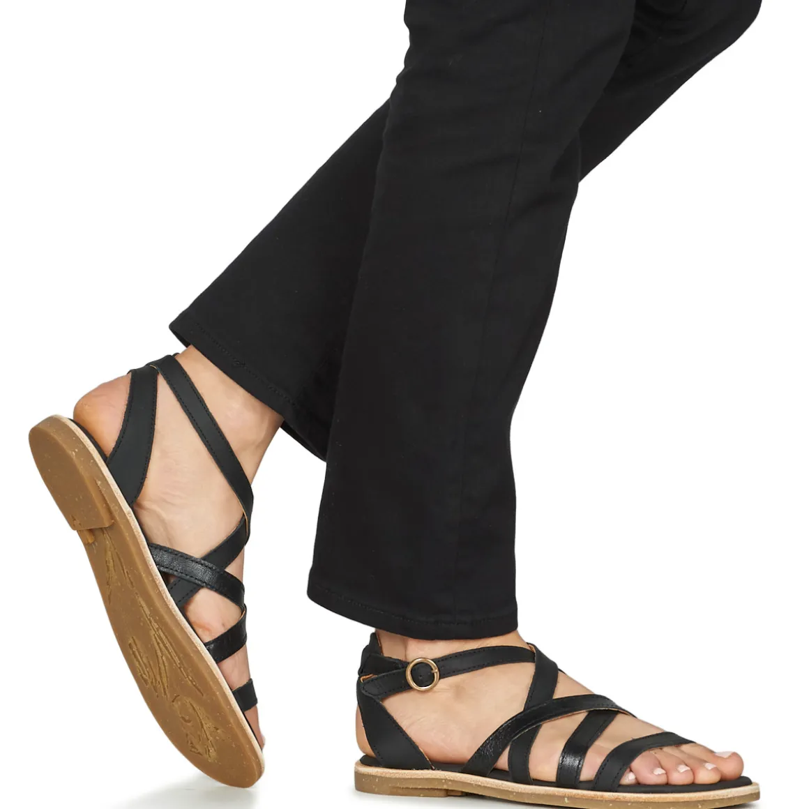 El Naturalista - TONAMI