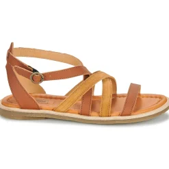 El Naturalista - TONAMI