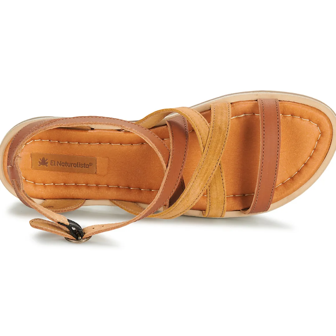 El Naturalista - TONAMI