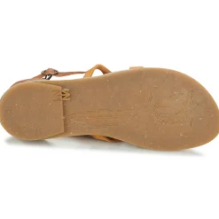 El Naturalista - TONAMI