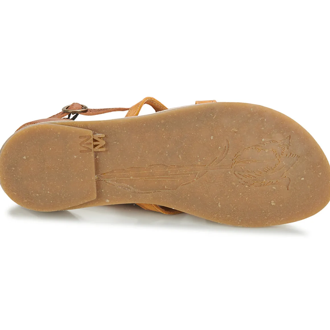 El Naturalista - TONAMI