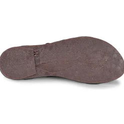 El Naturalista - TULIP N5694