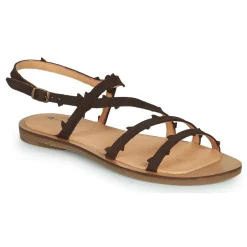 El Naturalista - TULIP N5193