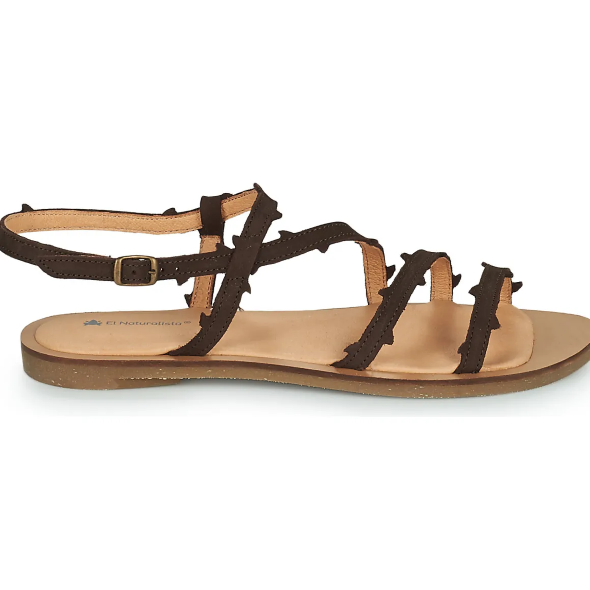 El Naturalista - TULIP N5193