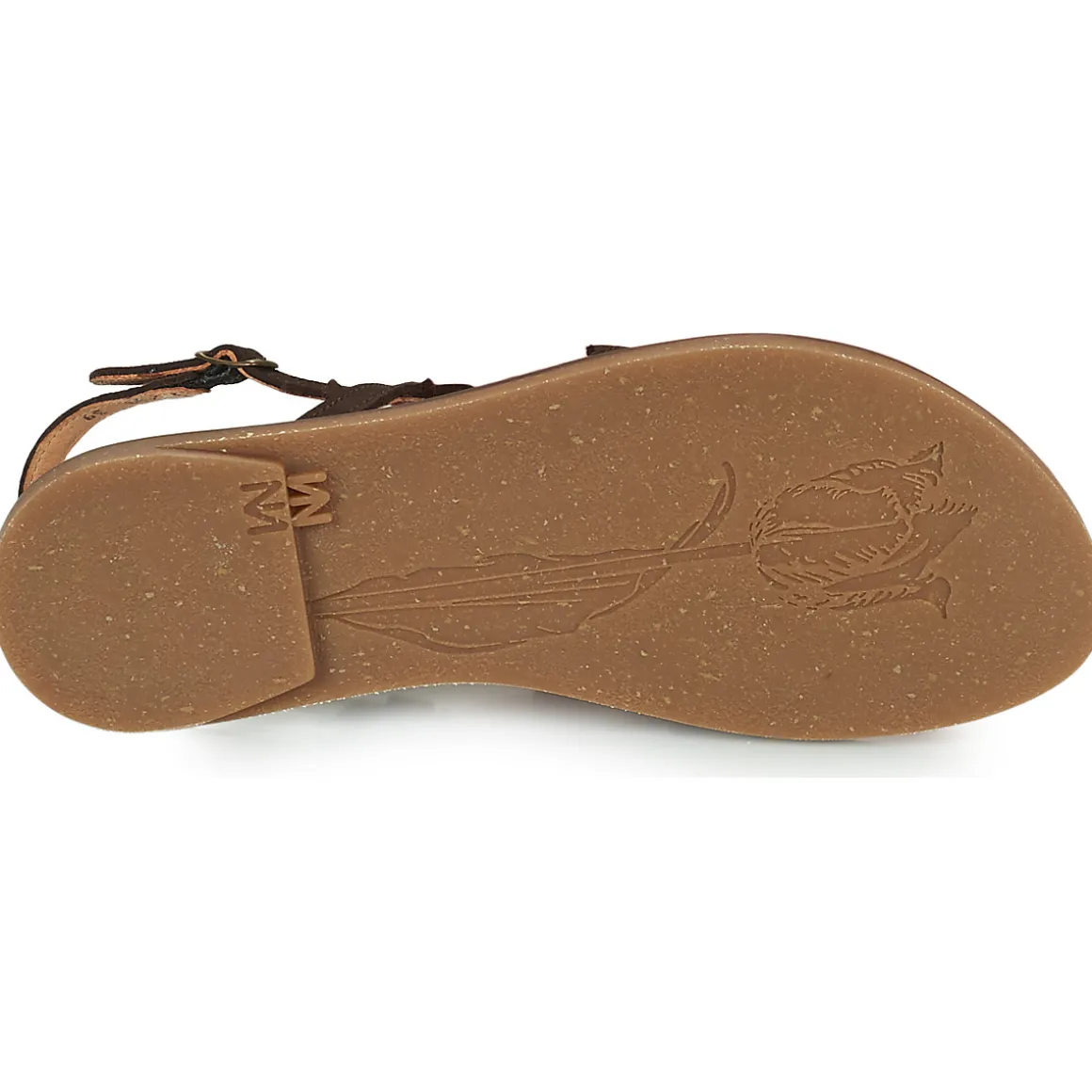 El Naturalista - TULIP N5193