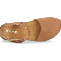 El Naturalista - WAKATAUA N412