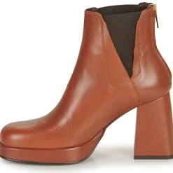 Fericelli - ALSTROMERIA