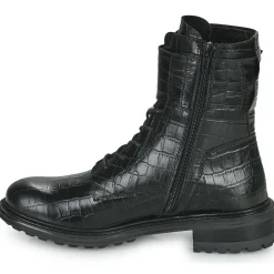 Fericelli - CALLIOPE