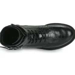 Fericelli - CALLIOPE