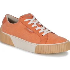 Fericelli - FEERIQUE