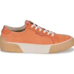 Fericelli - FEERIQUE