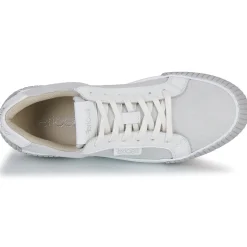 Fericelli - FEERIQUE