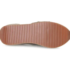 Gioseppo - DARLINGTON