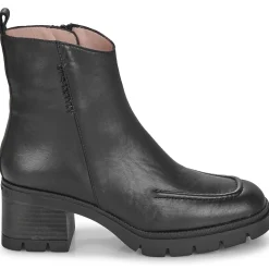 Hispanitas - EVEREST