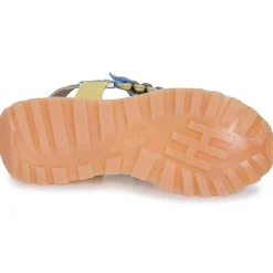 Hispanitas - MAUI-HV253898